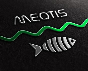 MEOTIS